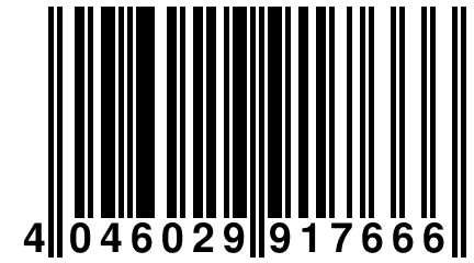 4 046029 917666