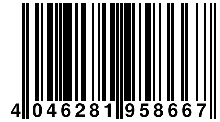 4 046281 958667