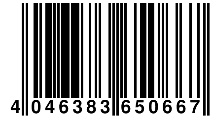 4 046383 650667