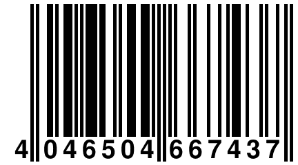 4 046504 667437