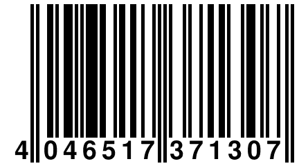 4 046517 371307