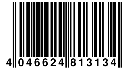 4 046624 813134