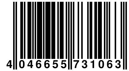 4 046655 731063