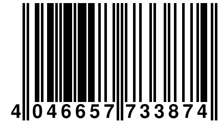 4 046657 733874