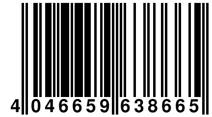 4 046659 638665