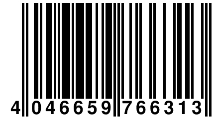 4 046659 766313