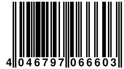 4 046797 066603