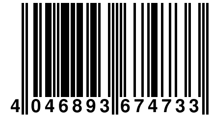 4 046893 674733