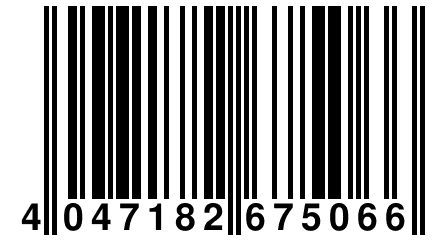 4 047182 675066