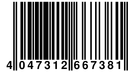 4 047312 667381