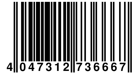 4 047312 736667