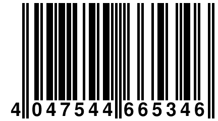 4 047544 665346