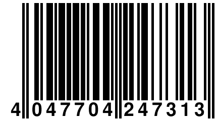 4 047704 247313