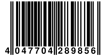 4 047704 289856