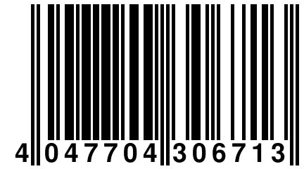 4 047704 306713