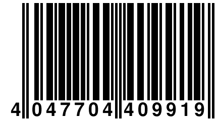 4 047704 409919