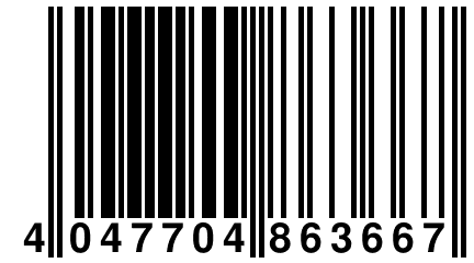 4 047704 863667