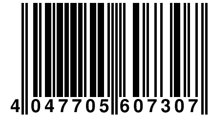 4 047705 607307