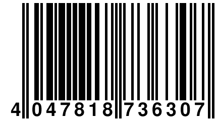 4 047818 736307