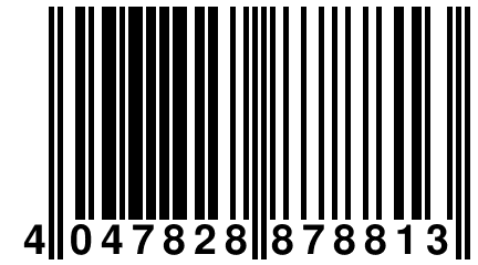 4 047828 878813