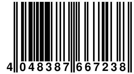 4 048387 667238