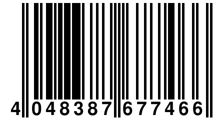 4 048387 677466