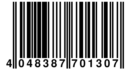 4 048387 701307