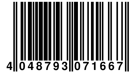 4 048793 071667