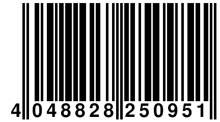 4 048828 250951