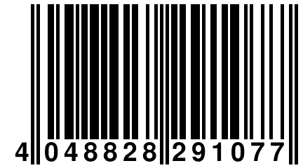 4 048828 291077