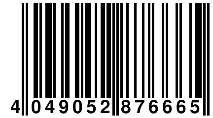 4 049052 876665