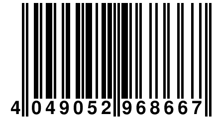 4 049052 968667