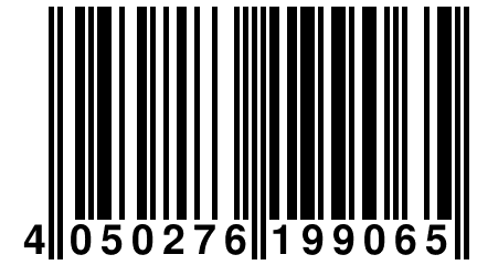 4 050276 199065