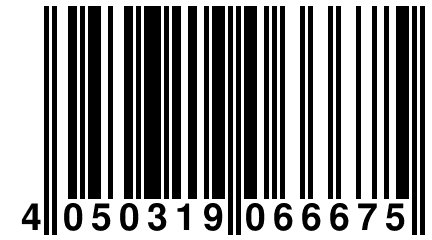 4 050319 066675