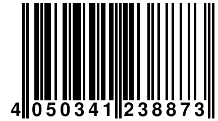 4 050341 238873