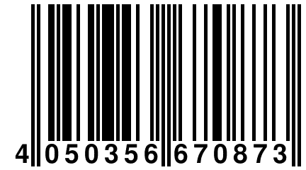 4 050356 670873