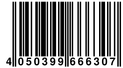 4 050399 666307