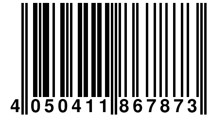 4 050411 867873