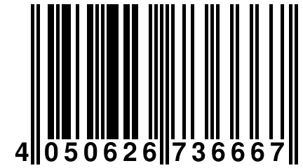 4 050626 736667