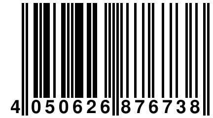 4 050626 876738