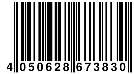 4 050628 673830