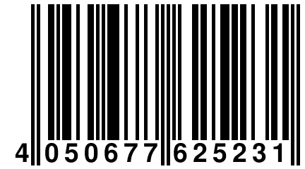 4 050677 625231