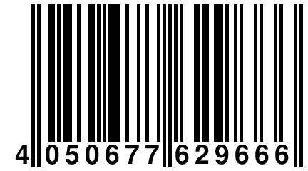 4 050677 629666