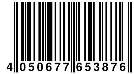 4 050677 653876