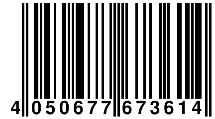 4 050677 673614