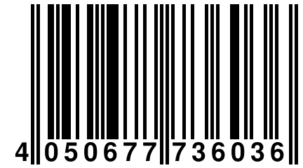 4 050677 736036