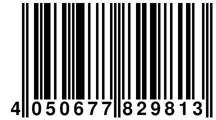 4 050677 829813