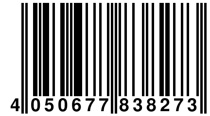 4 050677 838273