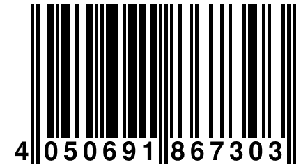 4 050691 867303