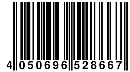 4 050696 528667